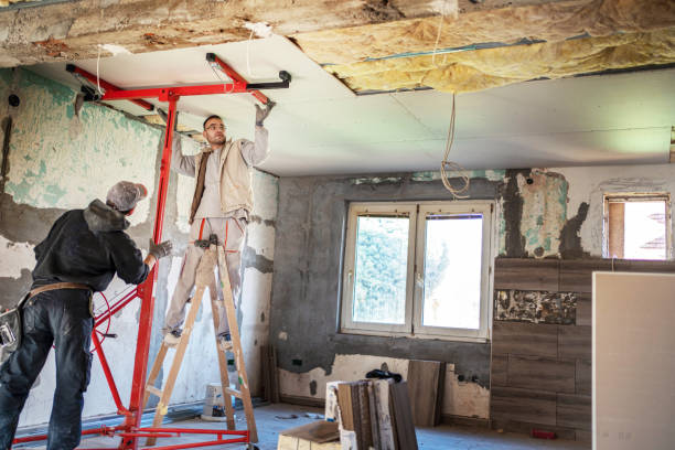 Best Cellulose Insulation in Brownsboro, TX