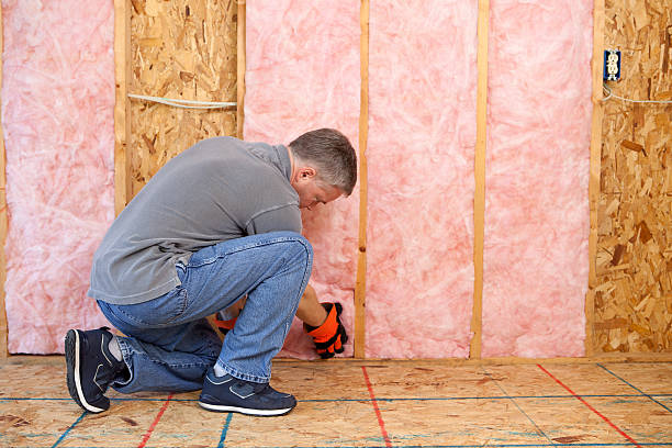 Best Commercial Insulation in Brownsboro, TX