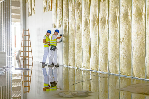 Best Spray Foam Insulation in Brownsboro, TX